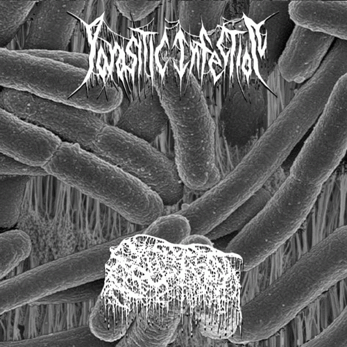 Parasitic Infection : Parasitic Infection - Bloat